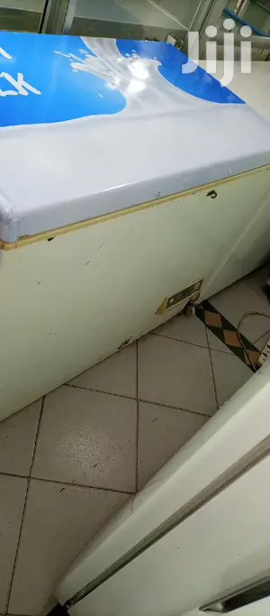 308L Freezer