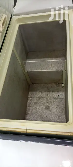 308L Freezer