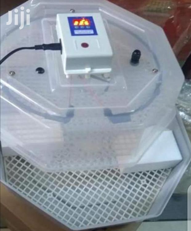Manual 60 Egg Incubator - main view