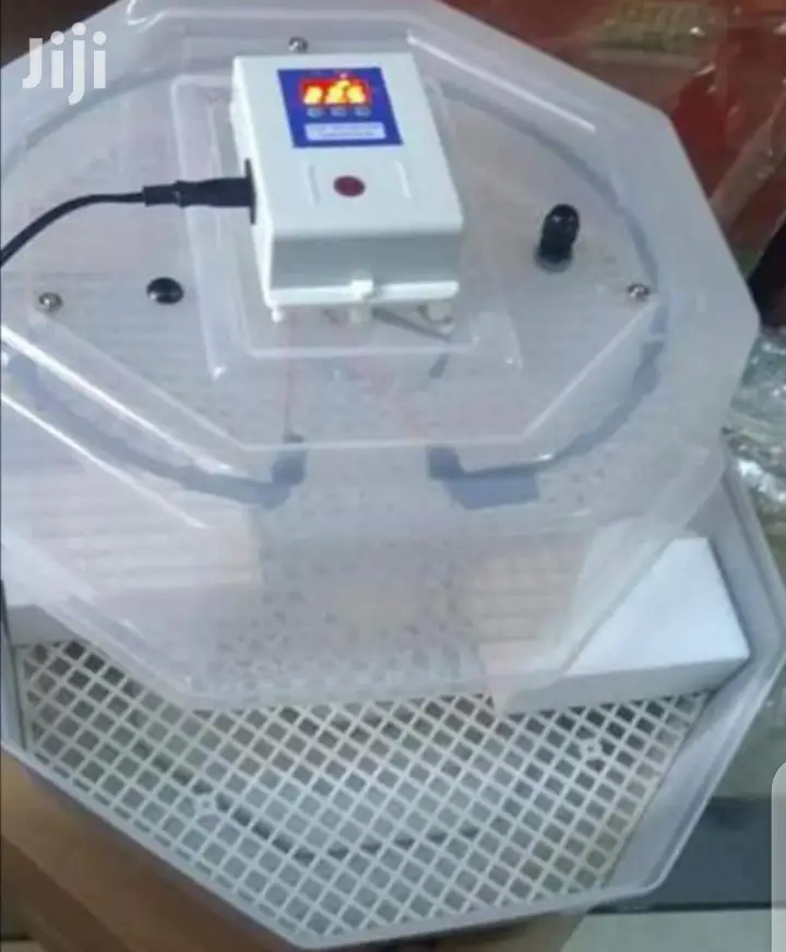 Manual 60 Egg Incubator