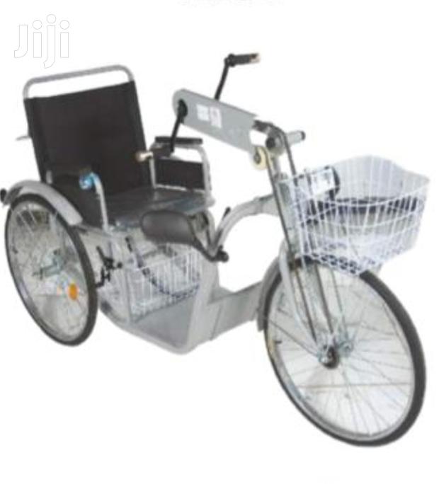 Try Cycle Wheelchair {Import} - main view
