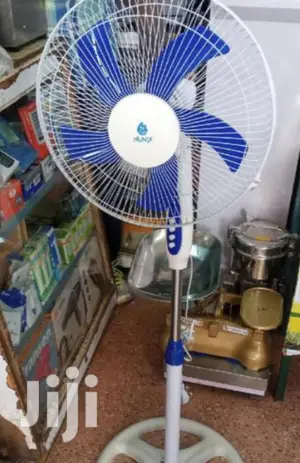 Strong Standing Fan