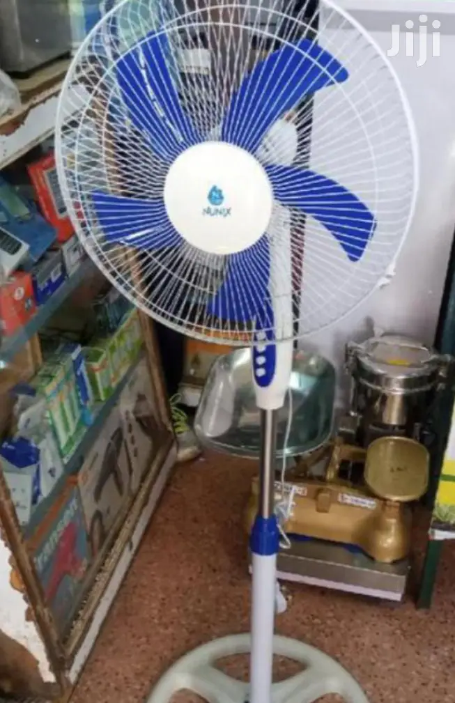 Strong Standing Fan