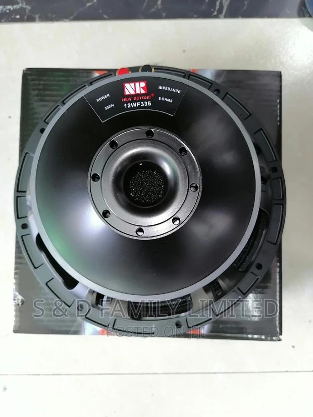 NR 12 Inch Naked Speaker