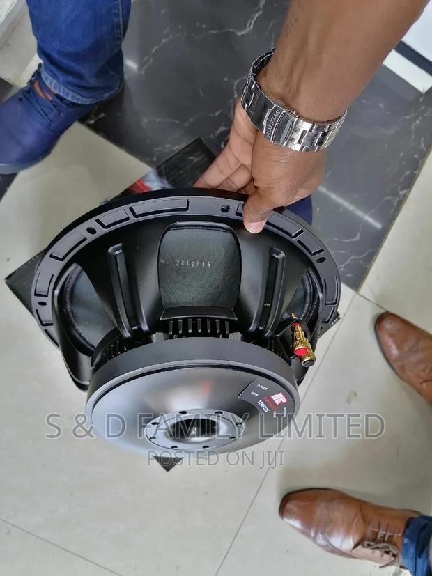 NR 12 Inch Naked Speaker - thumbnail 2