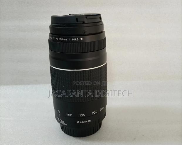 Canon Zoom Lens Ef 75-300mm 1:4-5.6 Iii