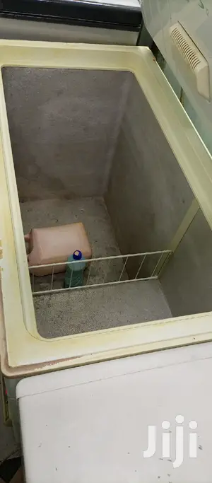 Deep Freezer 320L