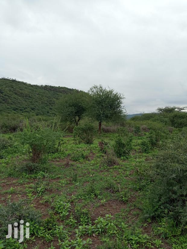 Prime 20acres Saikeri Near Proposed Bypass at Per Acre - thumbnail 2