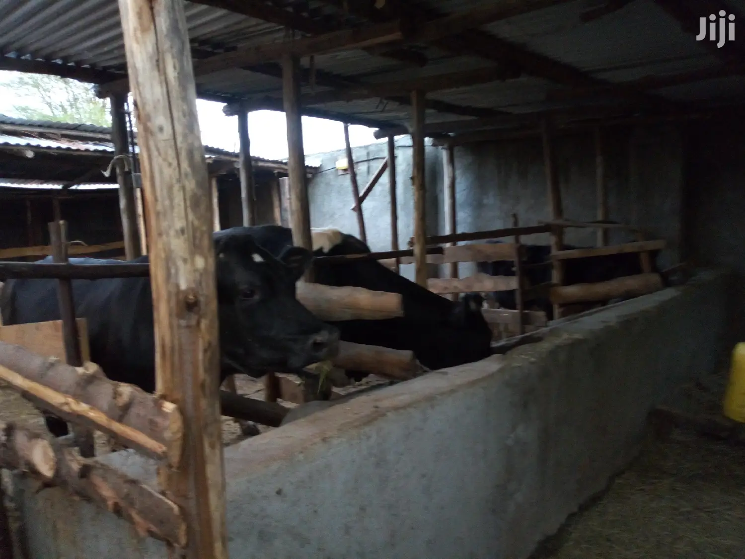 5bdrm Mansion in Nakuru Town East for sale