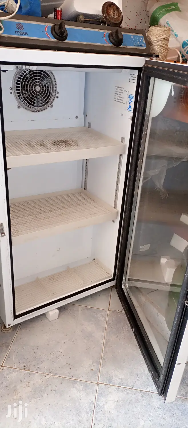 Mini Fridge