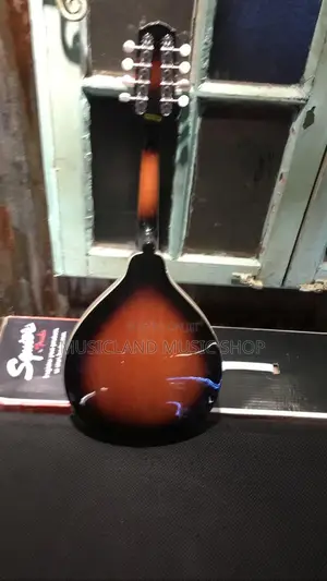Mandolin Semi