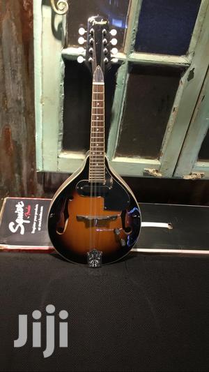 Mandolin Semi - thumbnail 2