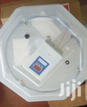 Approved 60 Egg Incubator Machine