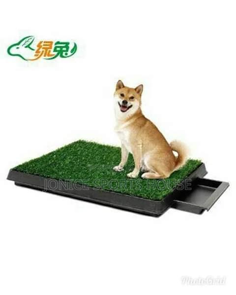 Pet Potty Mat - main view
