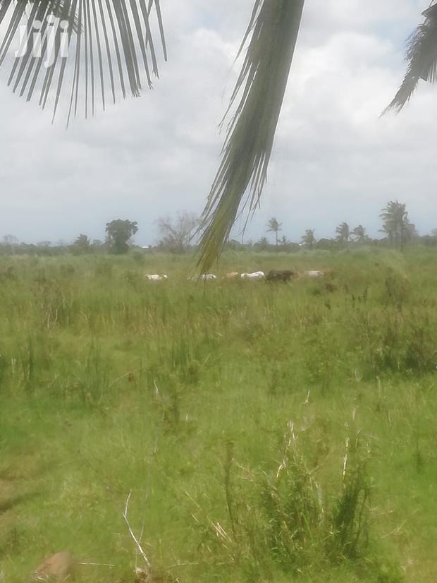 200 Acres Fronting River Malindi - thumbnail 7