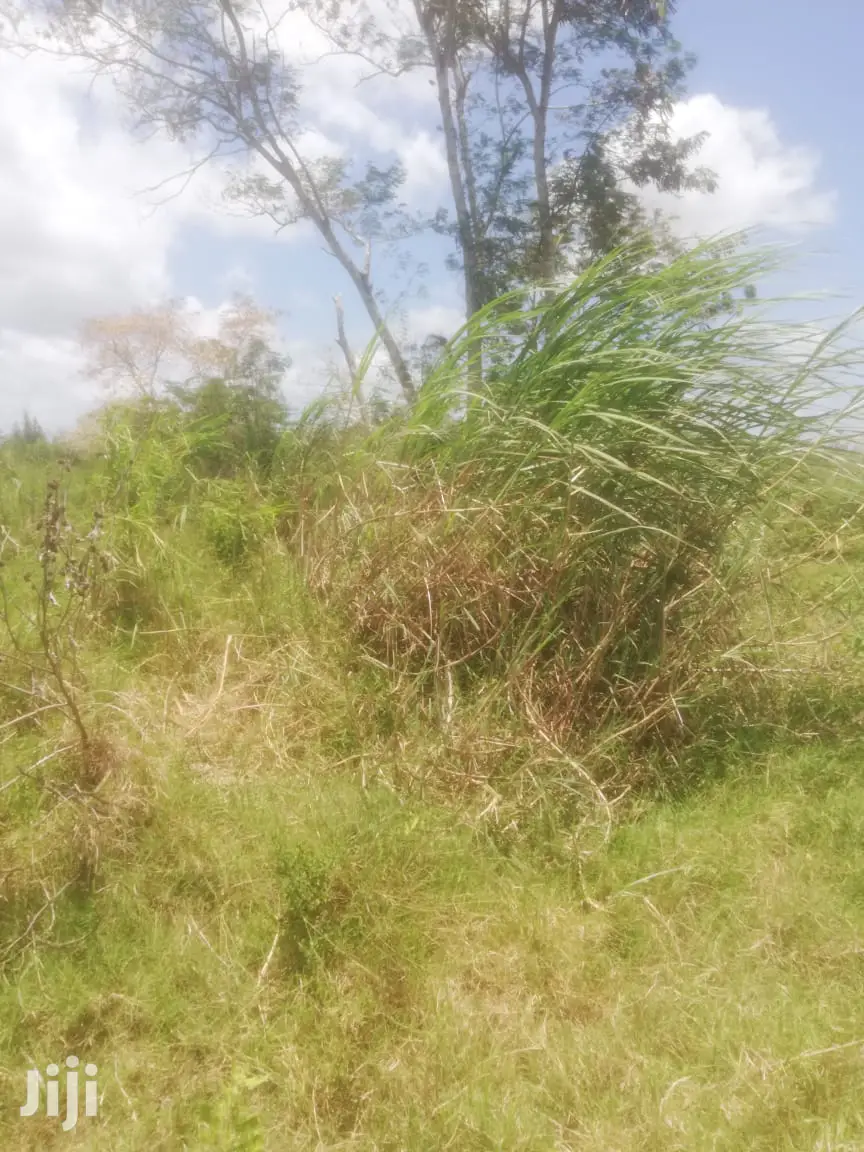 200 Acres Fronting River Malindi