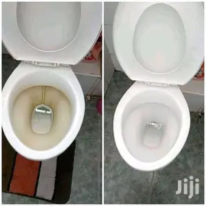 Toilet and Tiles Cleaning Services Available