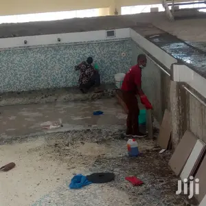 Toilet and Tiles Cleaning Services Available