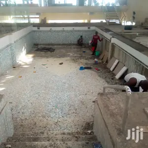 Toilet and Tiles Cleaning Services Available