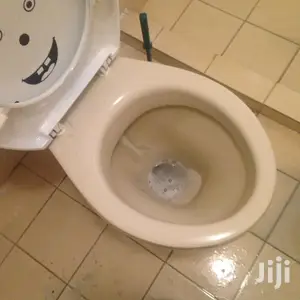 Toilet and Tiles Cleaning Services Available