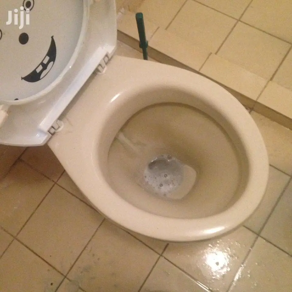 Toilet and Tiles Cleaning Services Available