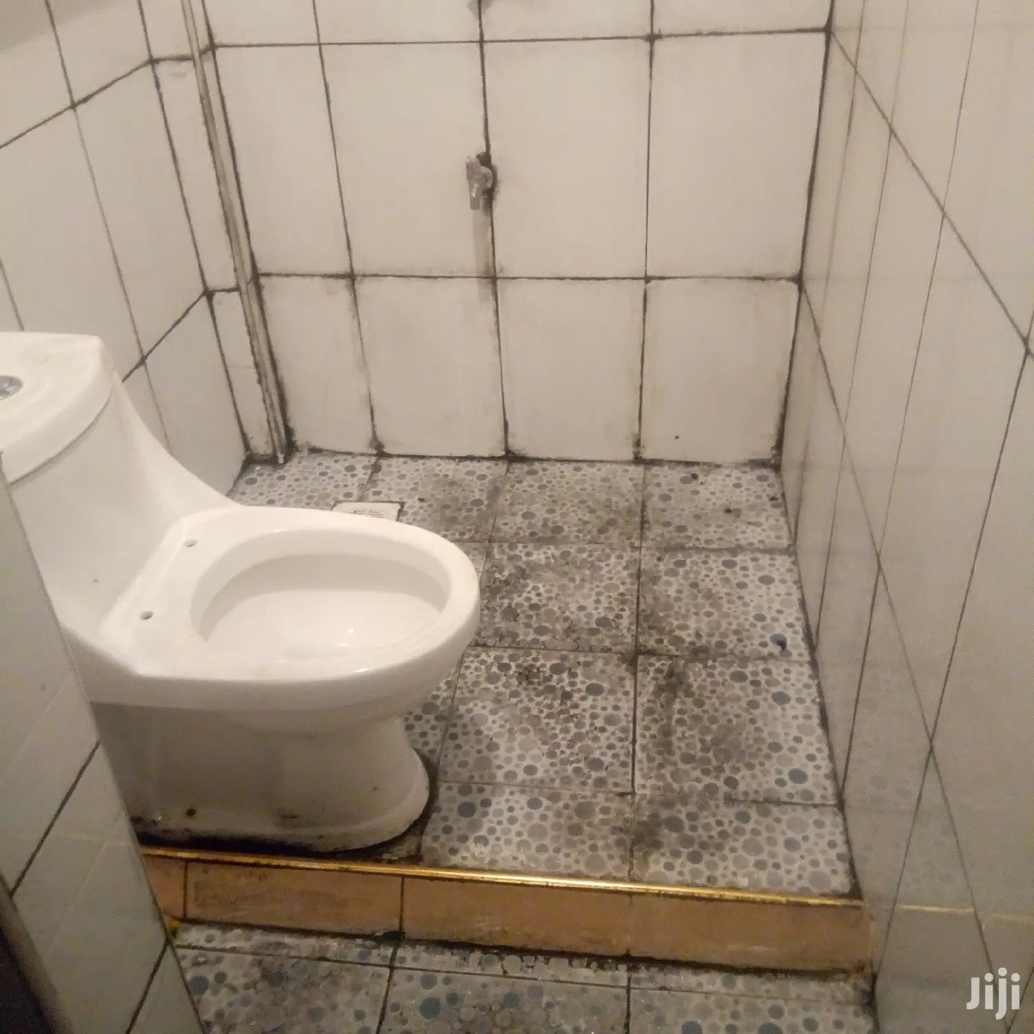 Toilet and Tiles Cleaning Services Available