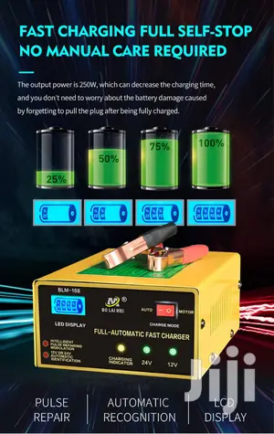 Intelligent Battery Charger
