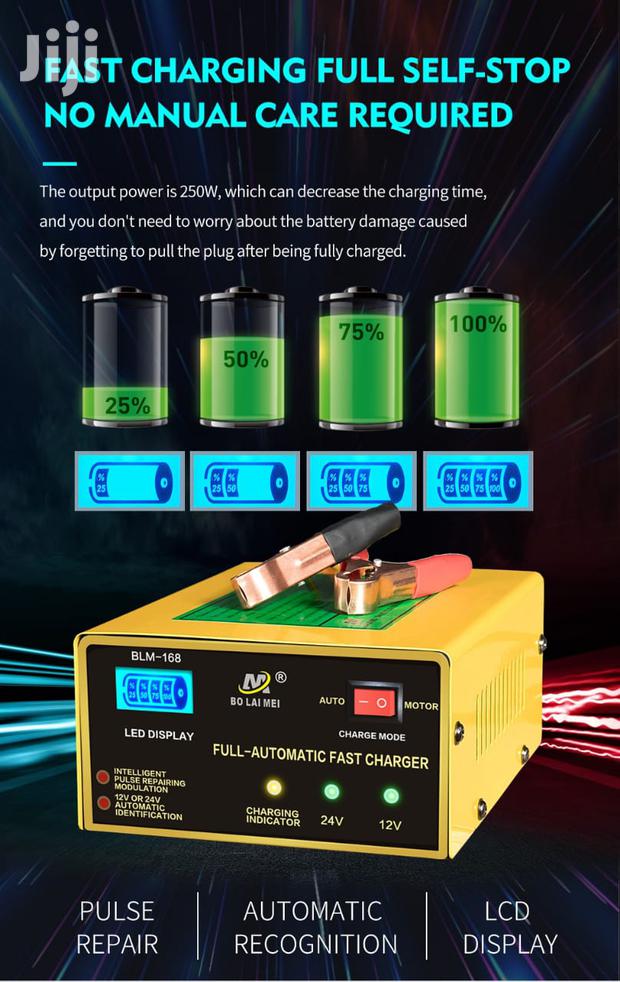 Intelligent Battery Charger - main view