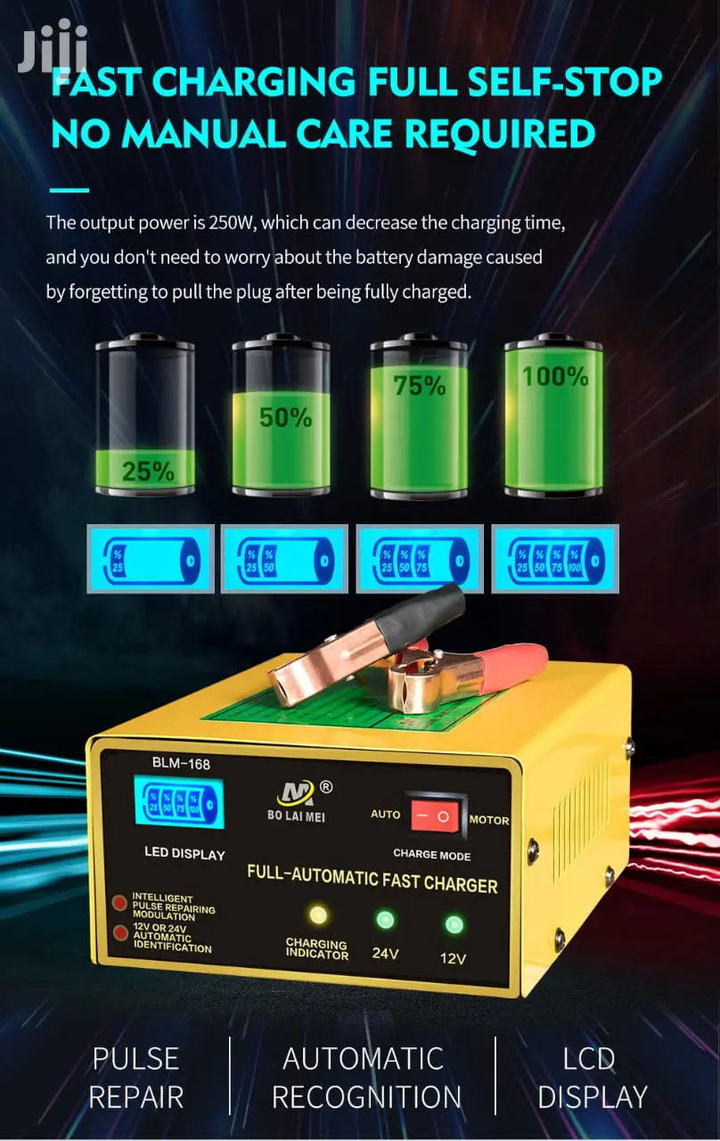 Intelligent Battery Charger