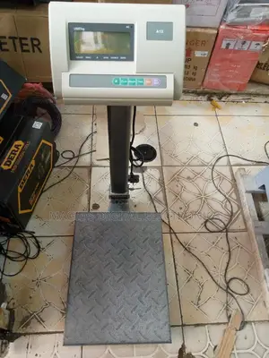A12 Electric Platform