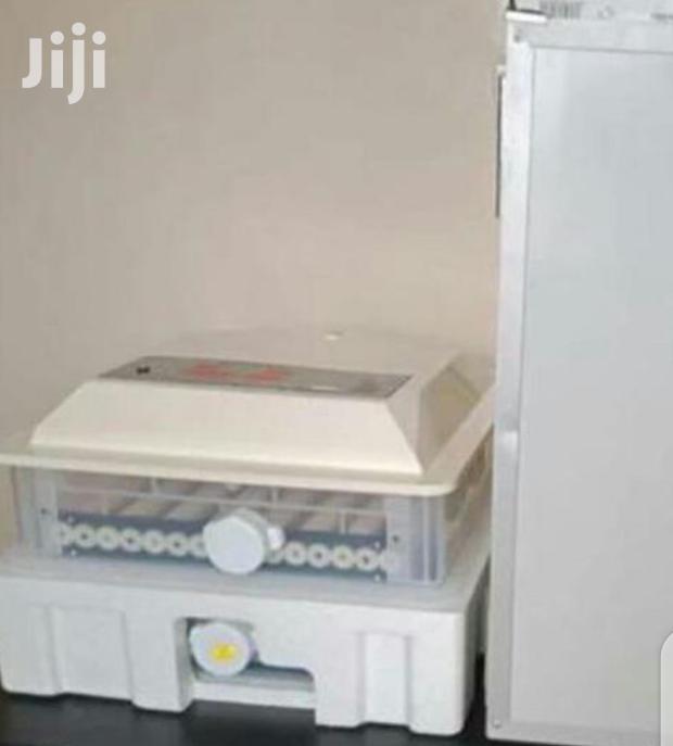 Appropriate 104 Egg Incubator - main view