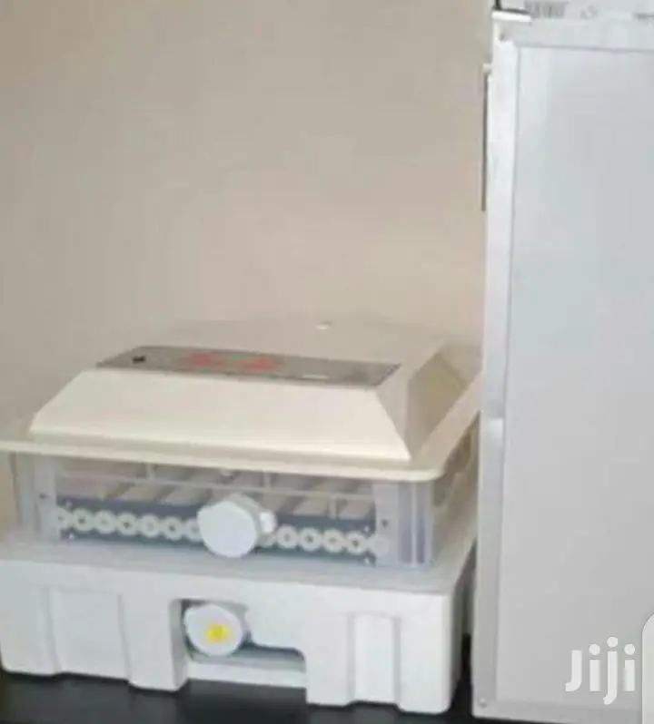 Appropriate 104 Egg Incubator