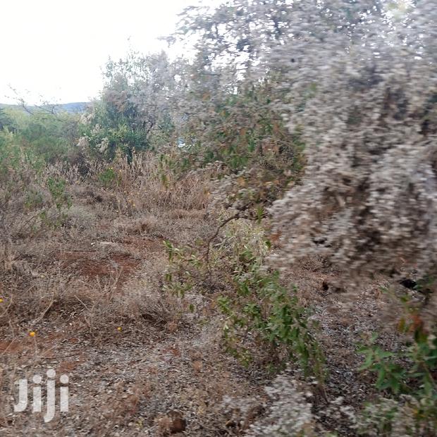 25 Acres Serashi Per Acre - thumbnail 8