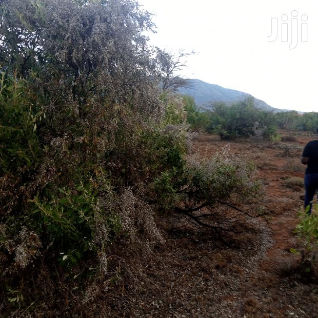 25 Acres Serashi Per Acre - thumbnail 7