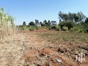 Prime Plot for Sale in Kikuyu, Lusingetti.