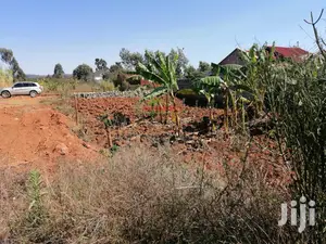 Prime Plot for Sale in Kikuyu, Lusingetti.