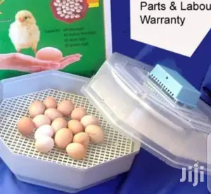 Unconditional 60 Egg Incubator