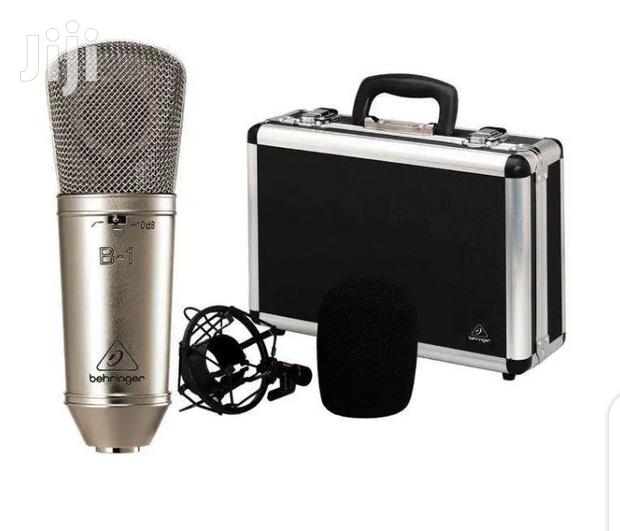 B1 Studio Condenser Microphone - main view