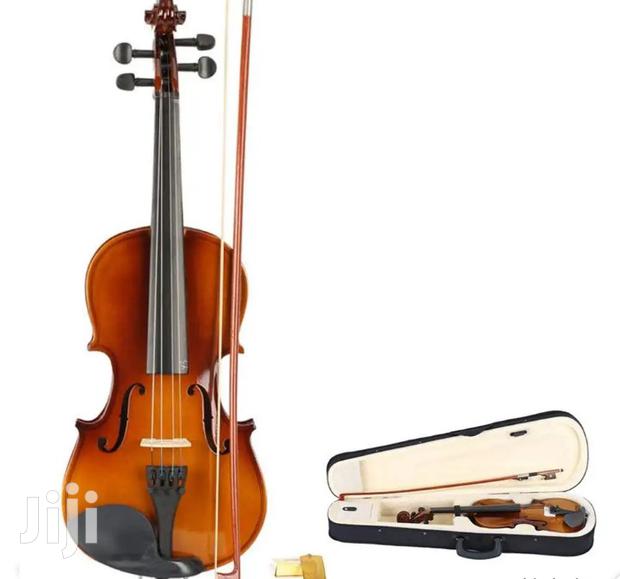 Stentor Violin - main view