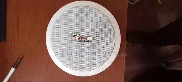 Ceiling Speakers - thumbnail 2