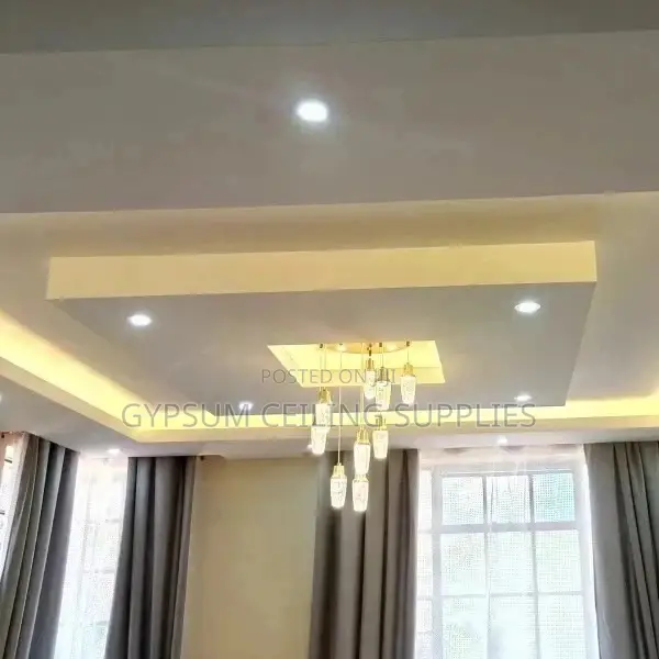 Gypsum Ceiling Professionals in Kisumu