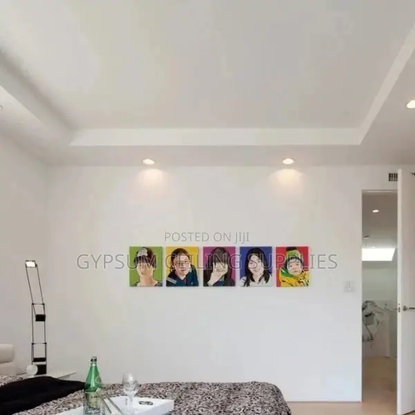 Gypsum Ceiling Professionals in Kisumu