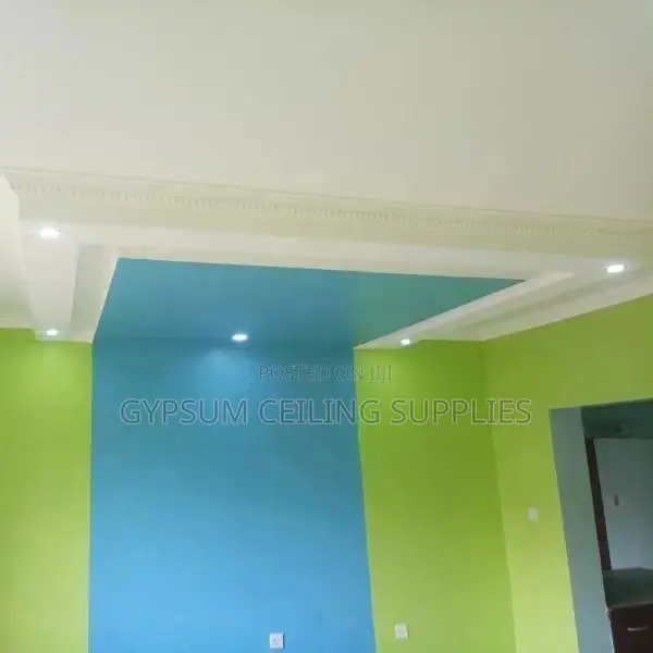 Gypsum Ceiling Professionals in Kisumu
