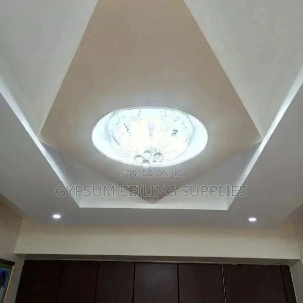 Gypsum Ceiling Professionals in Kisumu