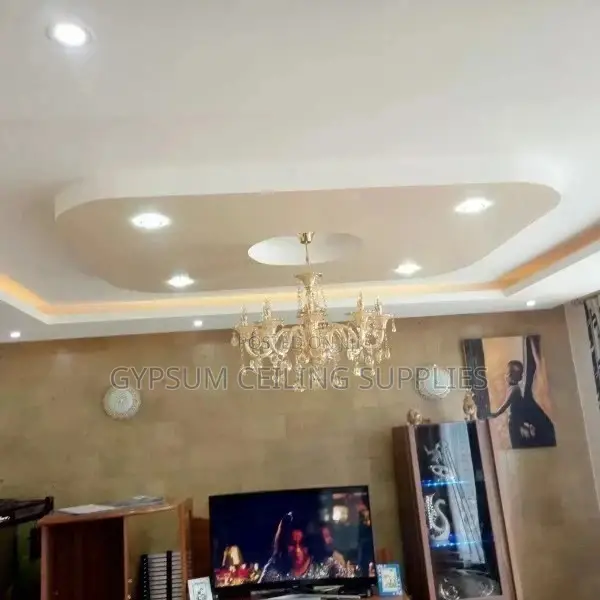 Gypsum Ceiling Professionals in Kisumu