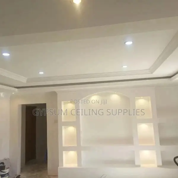 Gypsum Ceiling Professionals in Kisumu