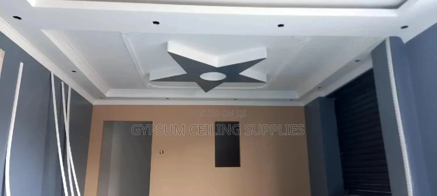 Gypsum Ceiling Professionals in Kisumu