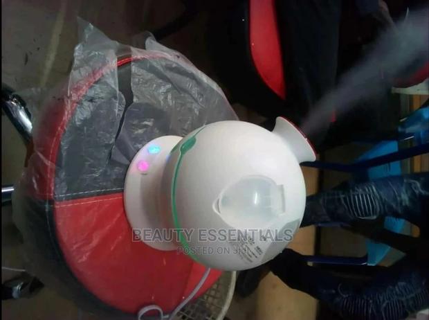 2 In 1 Facial Steamer