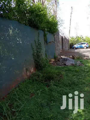 Very Very Prime Plots At Muthithi Kiambu Opposite Kist