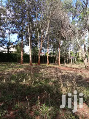 Very Very Prime Plots At Muthithi Kiambu Opposite Kist